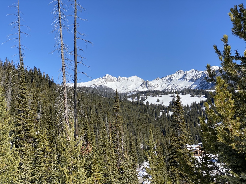 Beehive Basin View